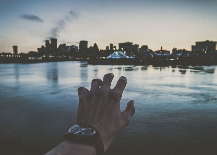 美国人口拼图，移民如何塑造大熔炉的新面貌