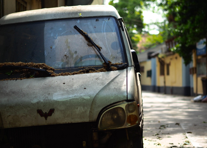 二零二零年车辆限号/2020年限号查询