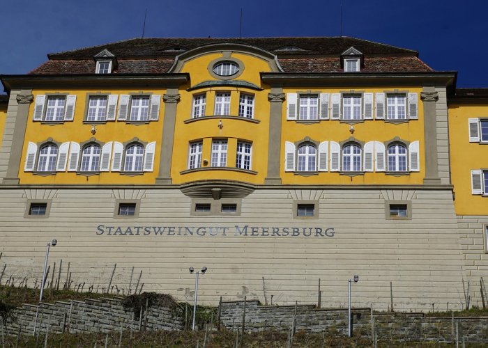 灵璧渔沟中心学校/灵璧县渔沟中学占地面积