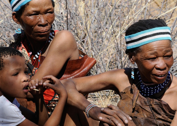 北京化工大学抗疫，科学防线与青春担当的交响