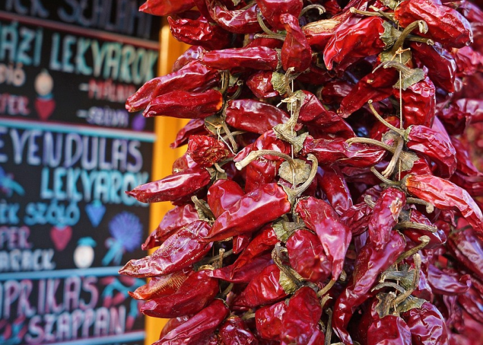 给大家科普一下“麻辣竞技如何开挂”(开挂透视教程)-知乎 给大家科普一下“麻辣竞技如何开挂”(开挂透视教程)-知乎