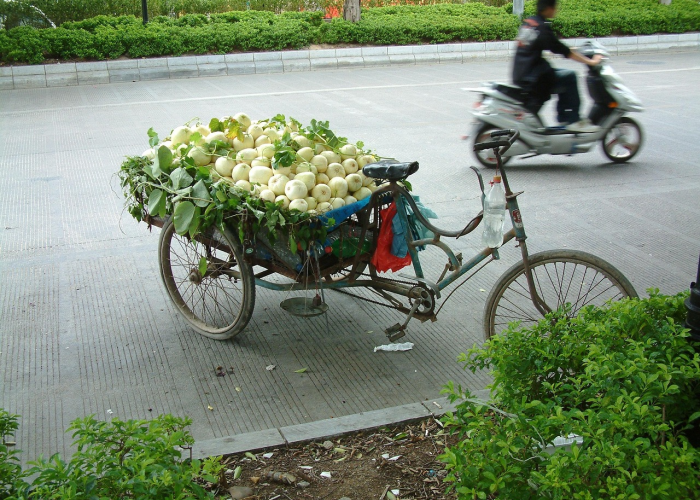 过年回家坐大巴车安全吗:过年回家坐大巴车安全吗现在