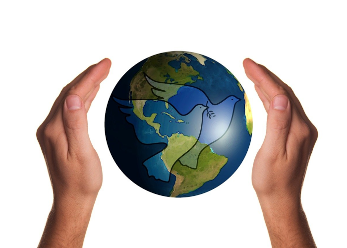 猴痘百度百科,全面解析这一全球关注的传染病 猴痘百度百科,全面解析这一全球关注的传染病