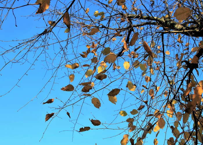 盘点必看揭秘“经典比鸡透视软件教程”(果然有挂)-知乎 盘点必看揭秘“经典比鸡透视软件教程”(果然有挂)-知乎