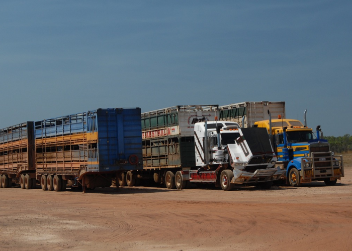 【解放大威卡车图片,解放大威卡车图片大全】