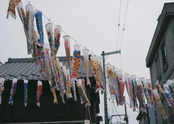 江苏南京疫情最新情况最新报道/江苏南京疫情最新消息哪些地区 江苏南京疫情最新情况最新报道/江苏南京疫情最新消息哪些地区