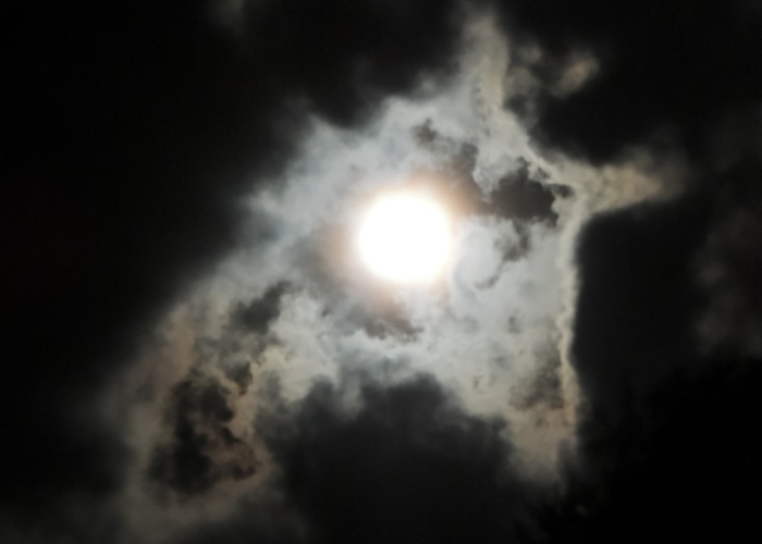 白云之下，核酸点的日与夜