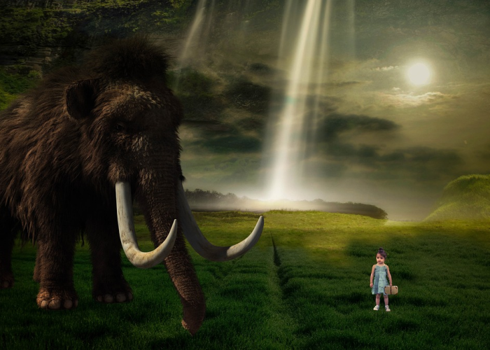 生命之力碎片dnf怎么获得(dnf生命力碎片怎么得2021) 生命之力碎片dnf怎么获得(dnf生命力碎片怎么得2021)