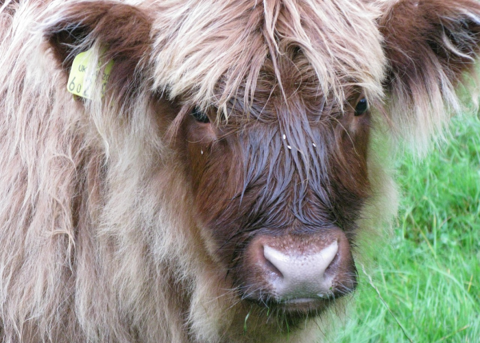 我来告诉大家牛财神有没有开挂软件”(辅助开挂教程)-知乎 我来告诉大家牛财神有没有开挂软件”(辅助开挂教程)-知乎