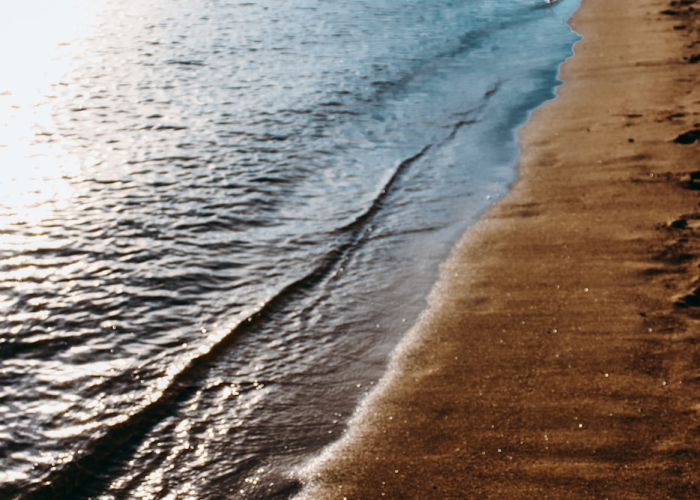 【台风贝碧嘉登陆上海浦东视频,台风海贝思登陆日本视频】 【台风贝碧嘉登陆上海浦东视频,台风海贝思登陆日本视频】