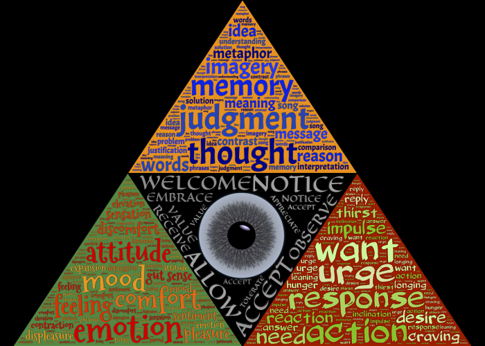 顺丰最新动态最新通知（顺丰的最新动态）