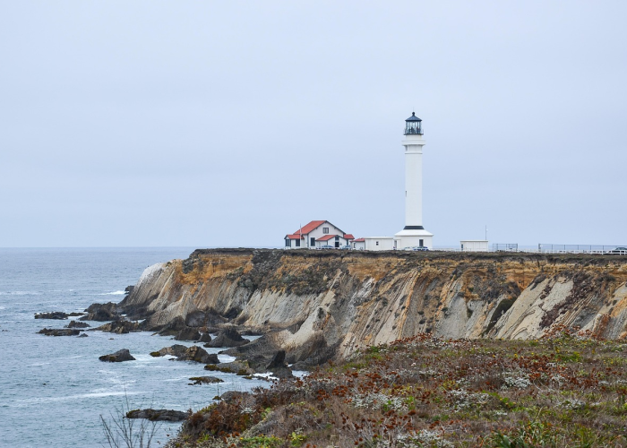 盐山县新冠状病毒情况/盐山县新冠肺炎