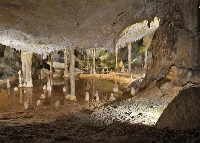 滨海新区最新疫情情况:滨海新区新冠肺炎疫情