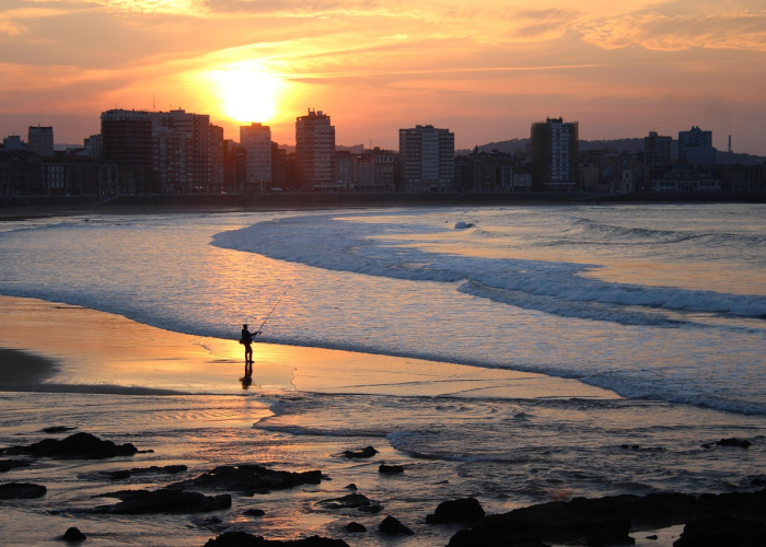 分享给大家“白金岛跑得快原来有挂”(开挂提高胜率)-知乎