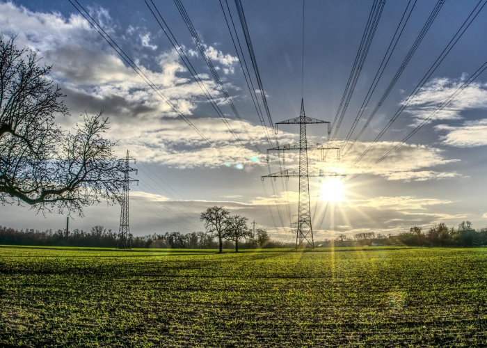 吉林省疫情最新情况，精准防控下的动态与挑战