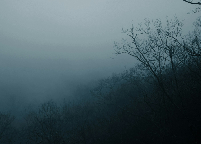 杭州看星星:杭州看星星的山 杭州看星星:杭州看星星的山