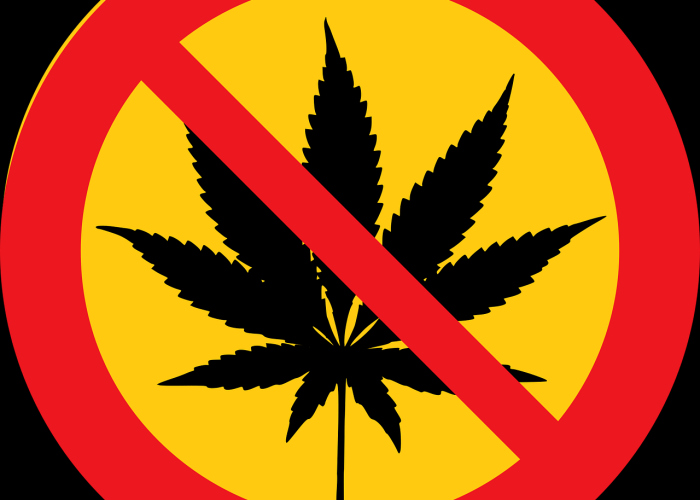 防疫铁令，三类人员禁止离京，筑牢首都安全防线