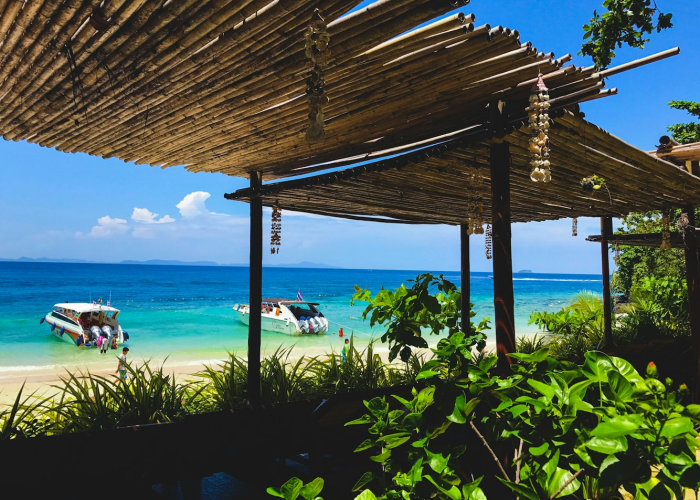 深圳社区,当钢铁森林长出温情的根系 深圳社区,当钢铁森林长出温情的根系