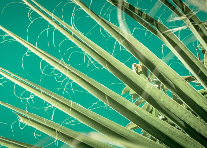 给大家科普一下“新麻圈有没有透视辅助”(真实可以装挂)-知乎