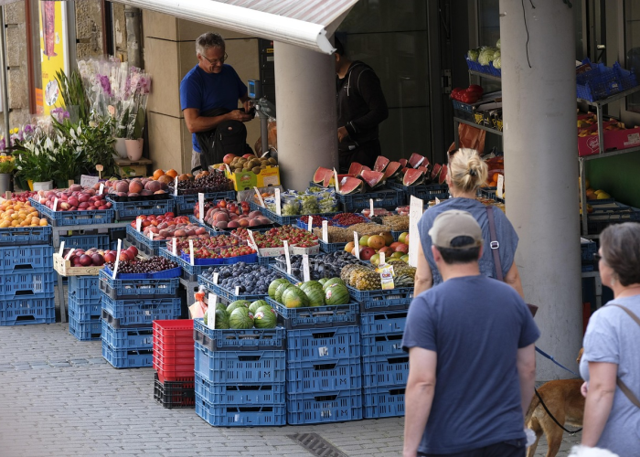 哈灵科技批发/哈灵科技批发市场地址