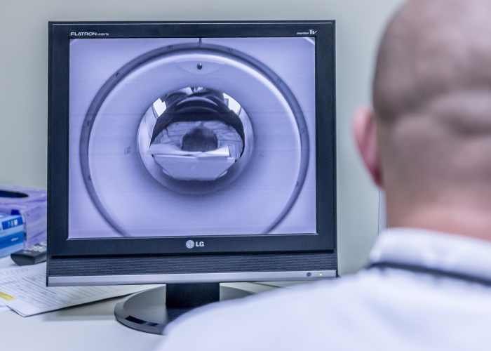 上海核酸筛查/上海核检 上海核酸筛查/上海核检