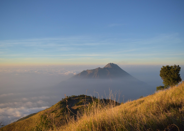 珠海疫情最新动态，防控措施升级，市民生活有序应对
