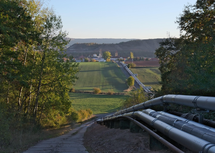 新疆石河子，精准防控下的有序生活