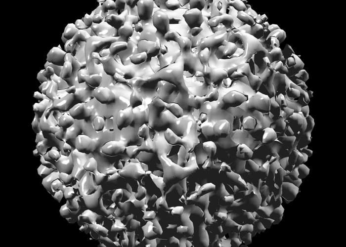 最新病毒2021(最新病毒2024诺如症状吃什么药) 最新病毒2021(最新病毒2024诺如症状吃什么药)