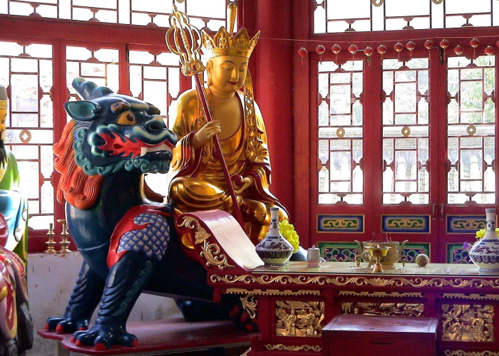 重症八仙是谁/重症八仙救了全中国 重症八仙是谁/重症八仙救了全中国