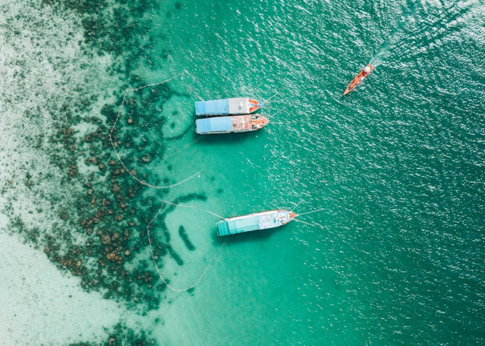 【全国防疫最新动态数据,全国防疫实时动态】 【全国防疫最新动态数据,全国防疫实时动态】