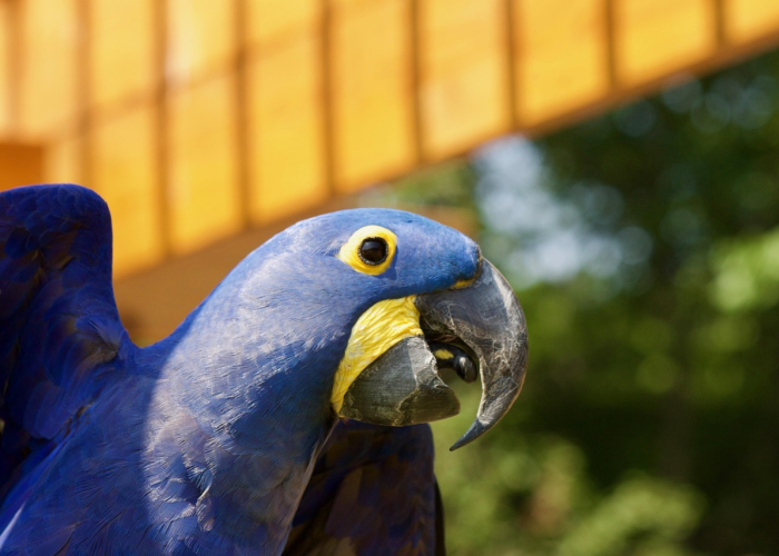 武汉新增136例新型肺炎病例,疫情动态与防控启示 武汉新增136例新型肺炎病例,疫情动态与防控启示