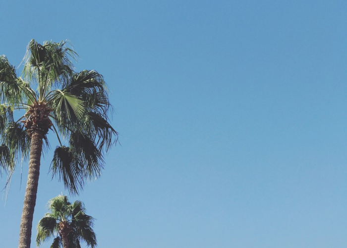 睢宁疫情封城具体时间/睢宁疫情实时动态 睢宁疫情封城具体时间/睢宁疫情实时动态