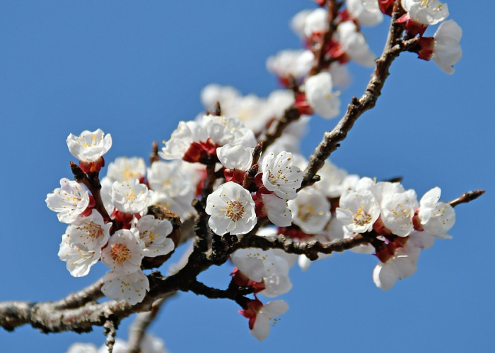一分钟揭秘“家乡大贰真的有透视挂”(详细开挂教程)-知乎 一分钟揭秘“家乡大贰真的有透视挂”(详细开挂教程)-知乎