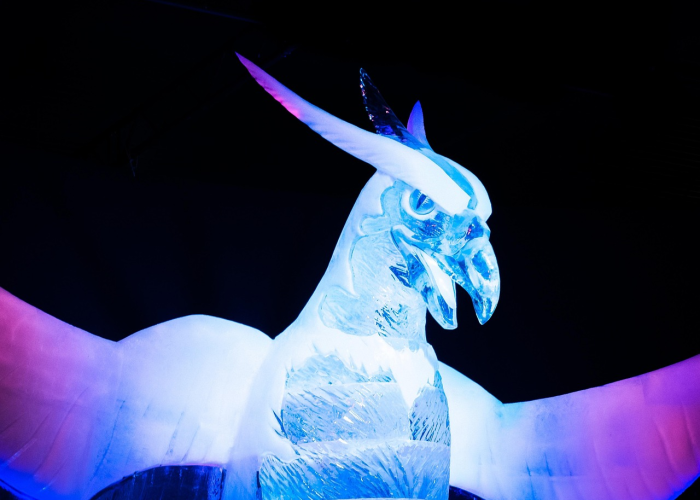 华星舞蹈艺术中心电话，一串数字背后的艺术温度