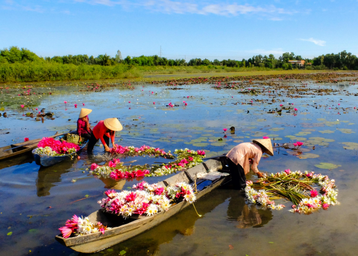 正月初一到十五天气预报查询最新指南，精准掌握春节黄金周天气动态