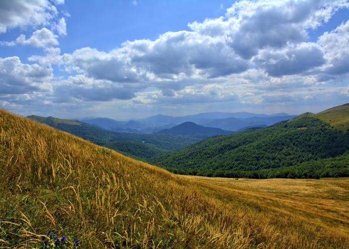 内蒙古旅游论坛/内蒙古旅游网站 内蒙古旅游论坛/内蒙古旅游网站