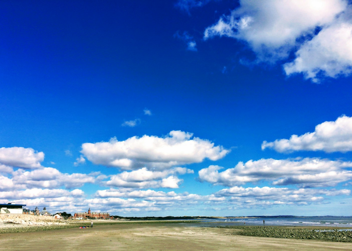 高速几号开始免费2022:高速几号开始免费2022年 高速几号开始免费2022:高速几号开始免费2022年