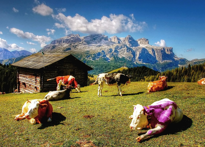 内蒙古旅游新闻播报:内蒙古旅游宣传