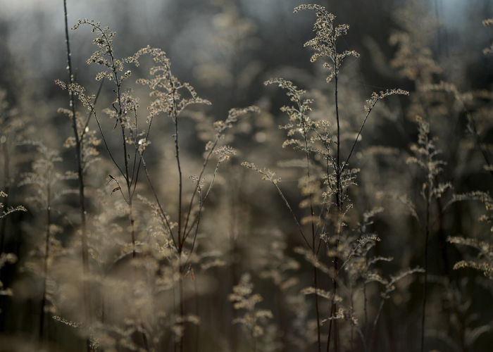 我来告诉大家新蛮王有没有挂”(千真万确有挂)-知乎 我来告诉大家新蛮王有没有挂”(千真万确有挂)-知乎