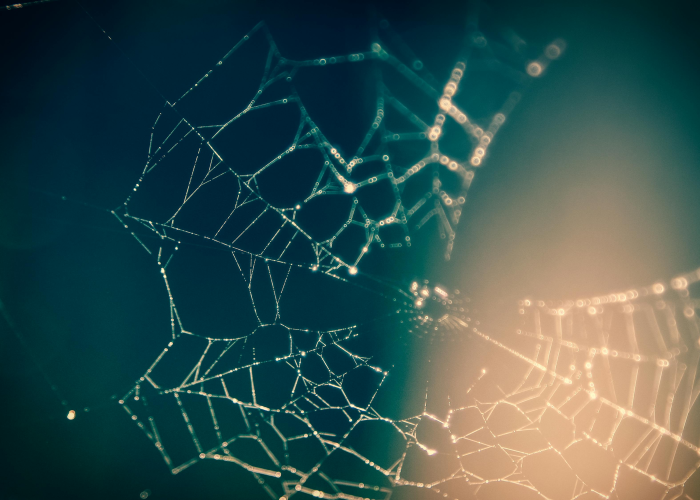 【重大消息】“跑得快到底有没有挂”(千真万确有挂)-知乎