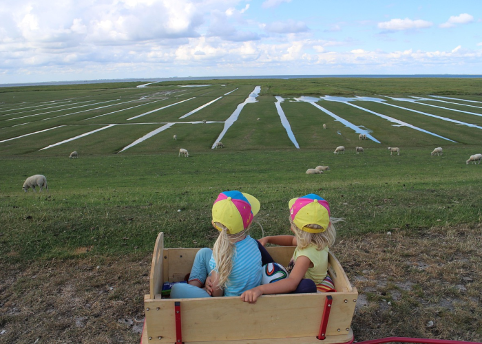 五一假期,从黄金周到小长假的变迁 五一假期,从黄金周到小长假的变迁