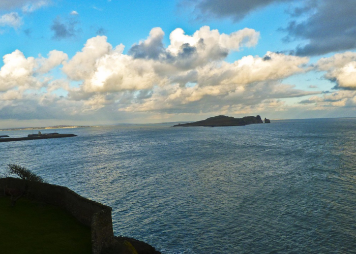 新冠哪去了？它从未离开，只是我们学会了与它共存