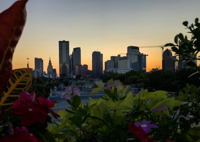 听说成都封城了是真的吗:成都封成是真是假