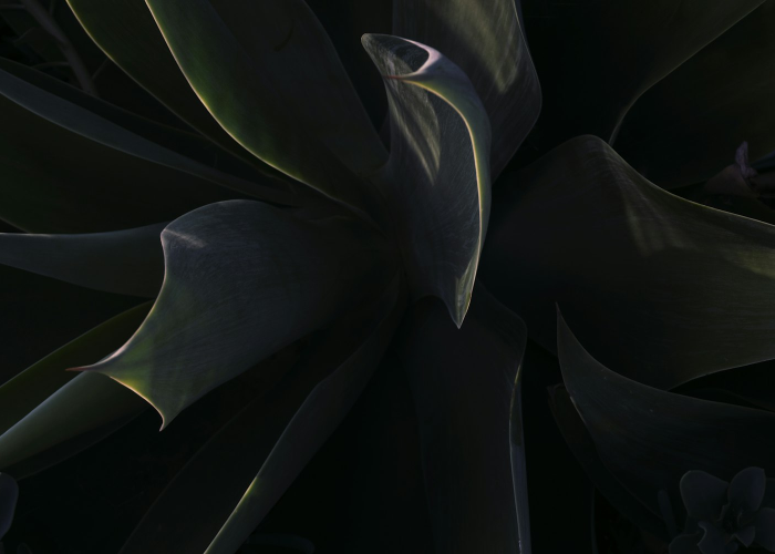 【暗裔剑魔出装/暗裔剑魔装备金铲铲】