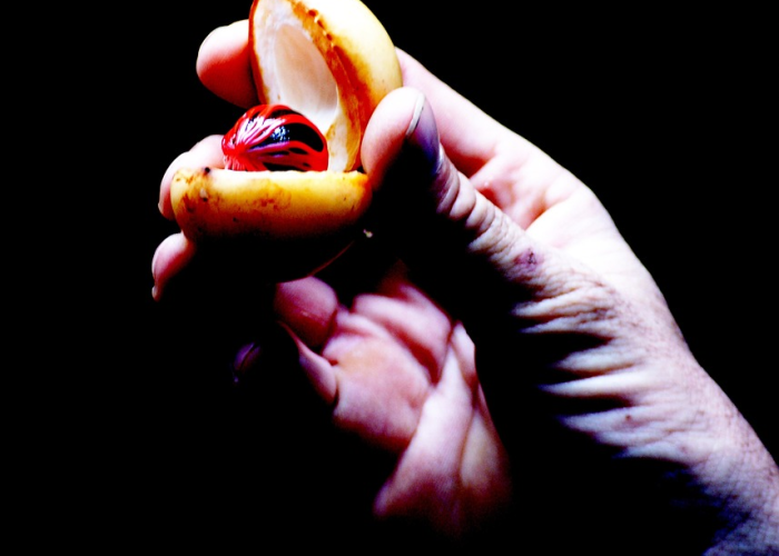 英国新冠肺炎变异（英国新冠肺炎变异了多少次）