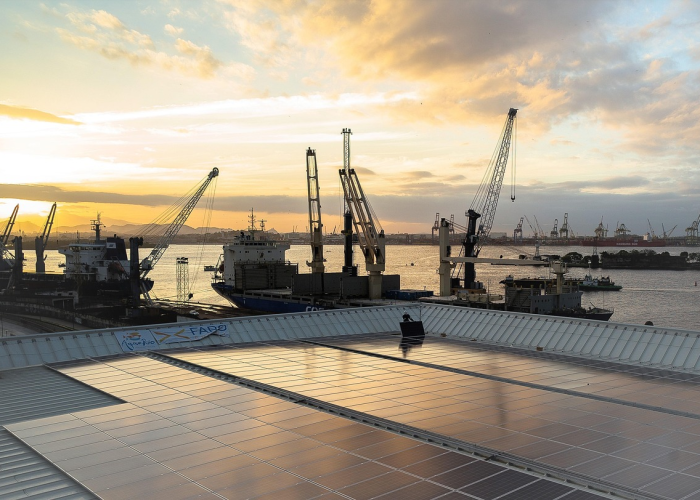 大朗杨涌有什么好厂？揭秘这个藏龙卧虎的工业宝地！