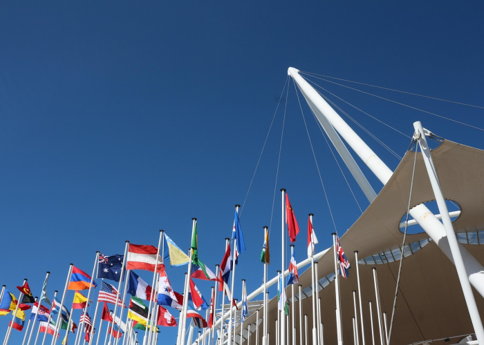 新巴尔虎右旗新闻视频:新巴尔虎右旗电视台在线直播 新巴尔虎右旗新闻视频:新巴尔虎右旗电视台在线直播