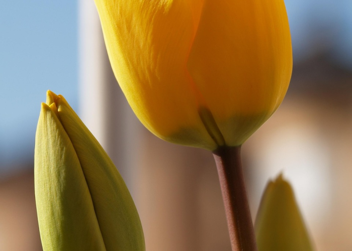 分享给大家“新蜜瓜怎么可以开挂”(千真万确有挂)-知乎