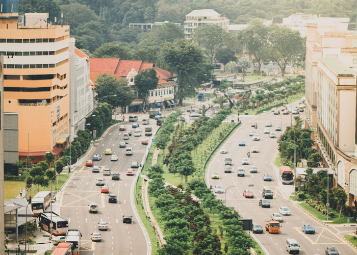广东连续13天无新增:广东连续13天无新增的城市