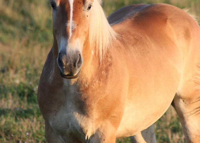 分享给大家“凉山跑得快究竟有没有开挂”(其实确实有挂)-知乎 分享给大家“凉山跑得快究竟有没有开挂”(其实确实有挂)-知乎